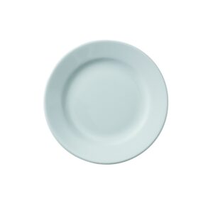 Location assiette plate BANQUET 30cm