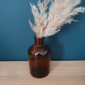 Location fiole d'apothicaire 250ml (grand)