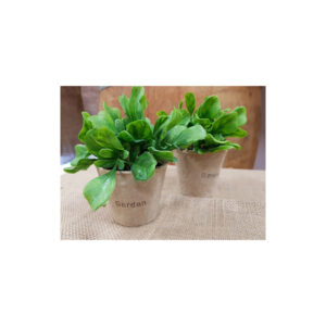 Location mini plante garden -pot kraft