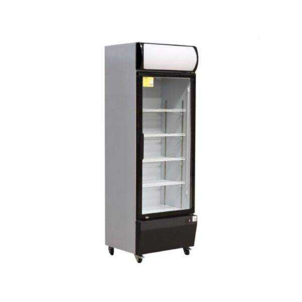 Location réfrigérateur vitrine réfrigérée positive 374 L