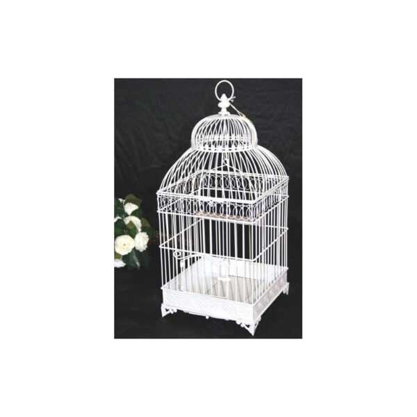 Location urne cage a oiseau