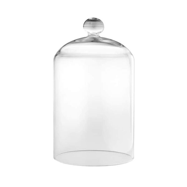 Location vase cloche