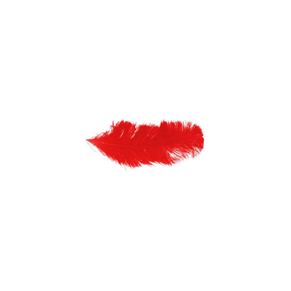 Plumes d'autruche