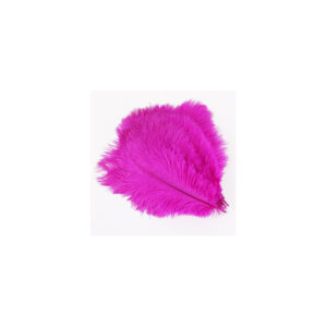 Plumes d'autruche