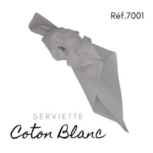Serviette en tissus -Blanc